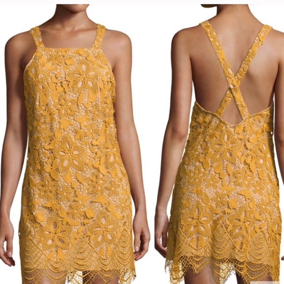Wayf Orleans Lace Mini Dress - Picture 2 of 7